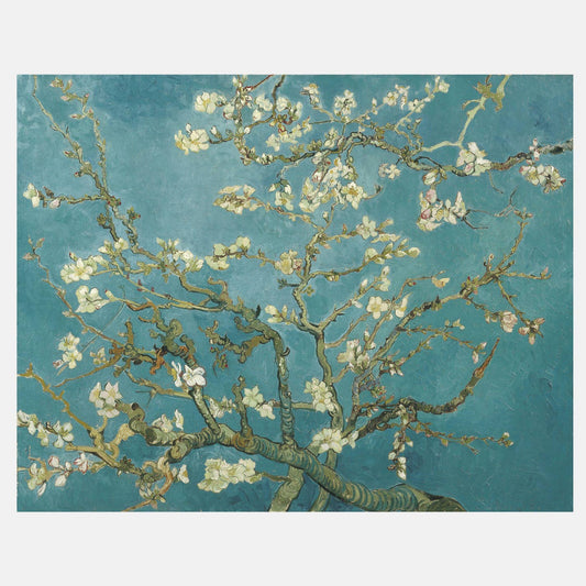 Almond blossom - heyvidashop