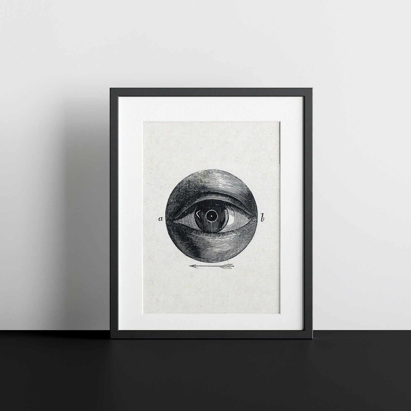 Eye - heyvidashop