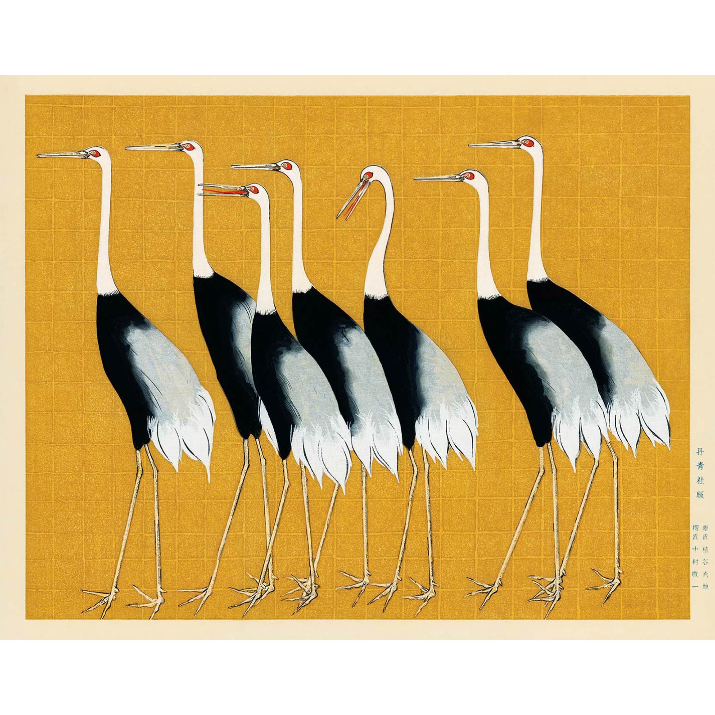 Flock of Beautiful Japanese Red Crown Crane - heyvidashop