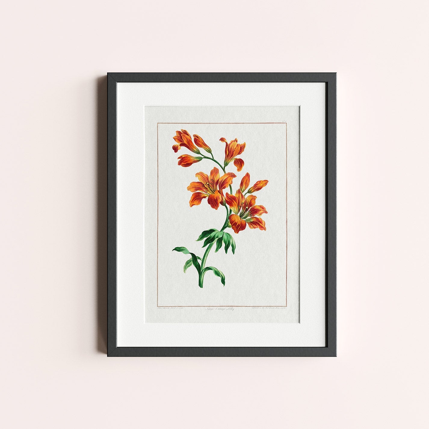 Large Orange Lily - heyvidashop