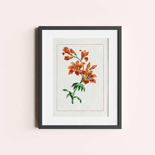 Large Orange Lily - heyvidashop