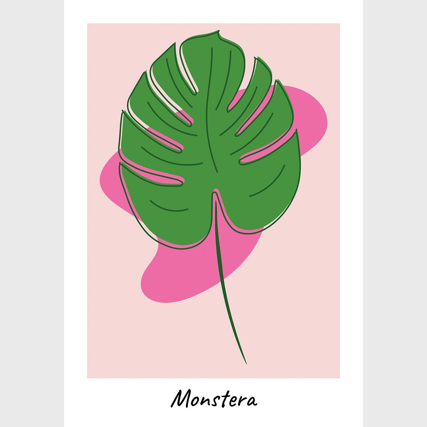 Monstera Pop Green and Pink - heyvidashop