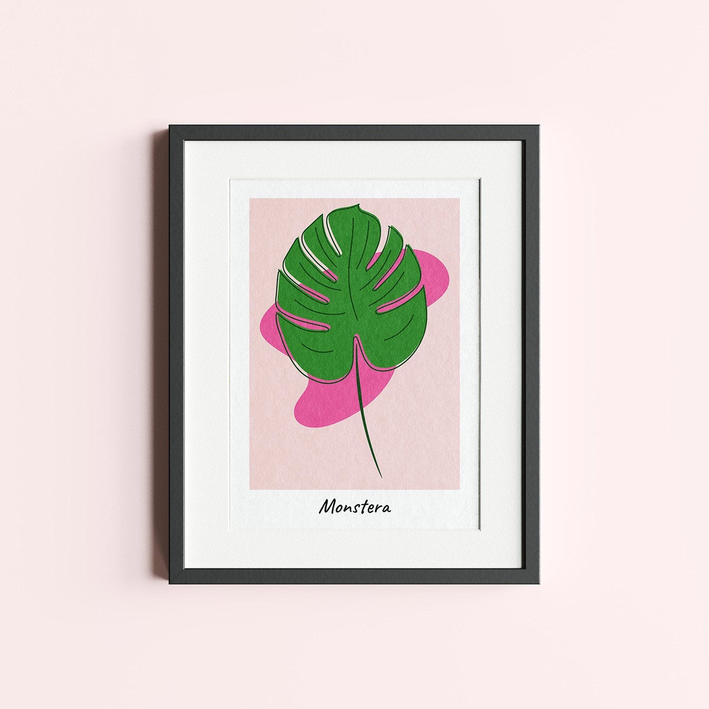 Monstera Pop Green and Pink - heyvidashop