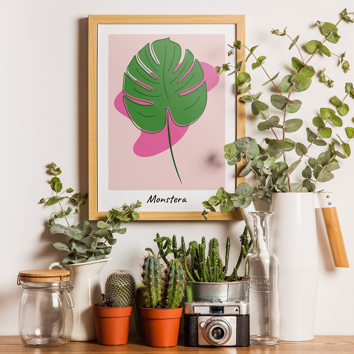 Monstera Pop Green and Pink - heyvidashop