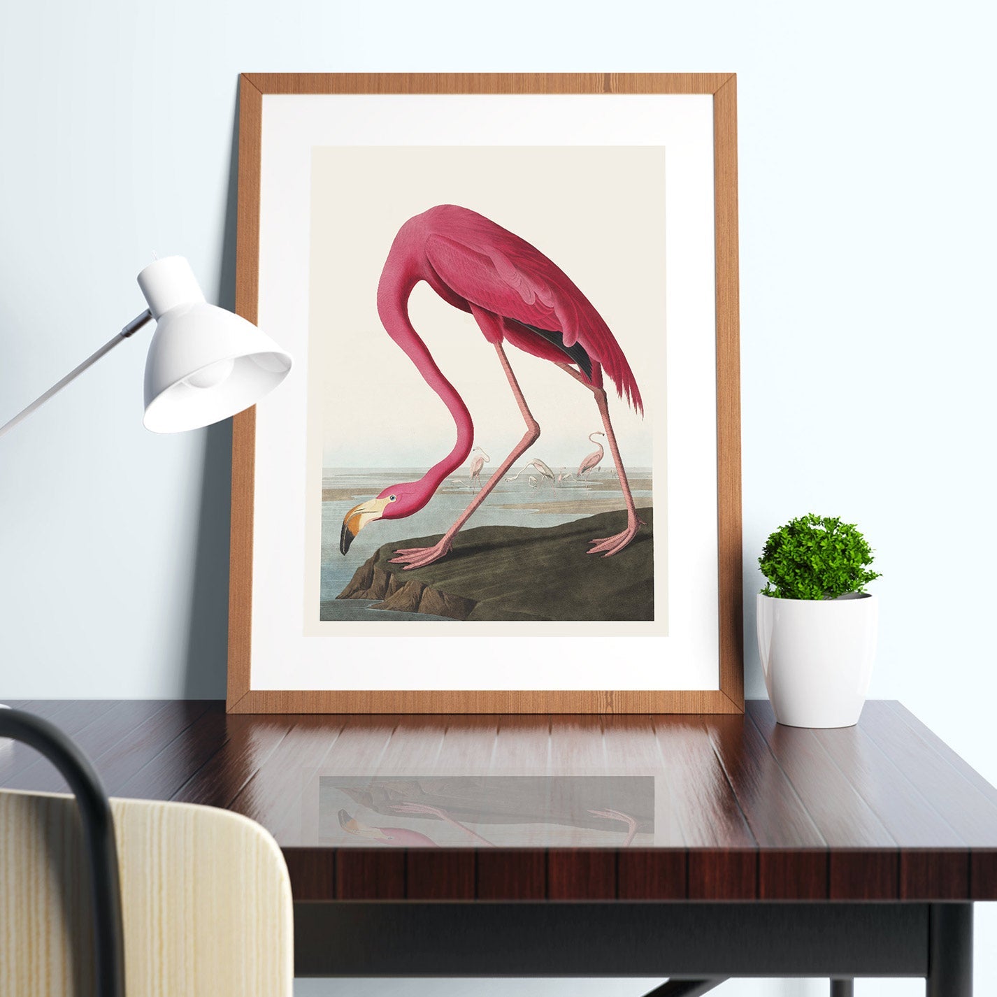 Pink Flamingo - heyvidashop