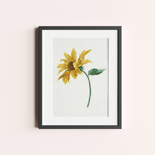 Sunflower - heyvidashop