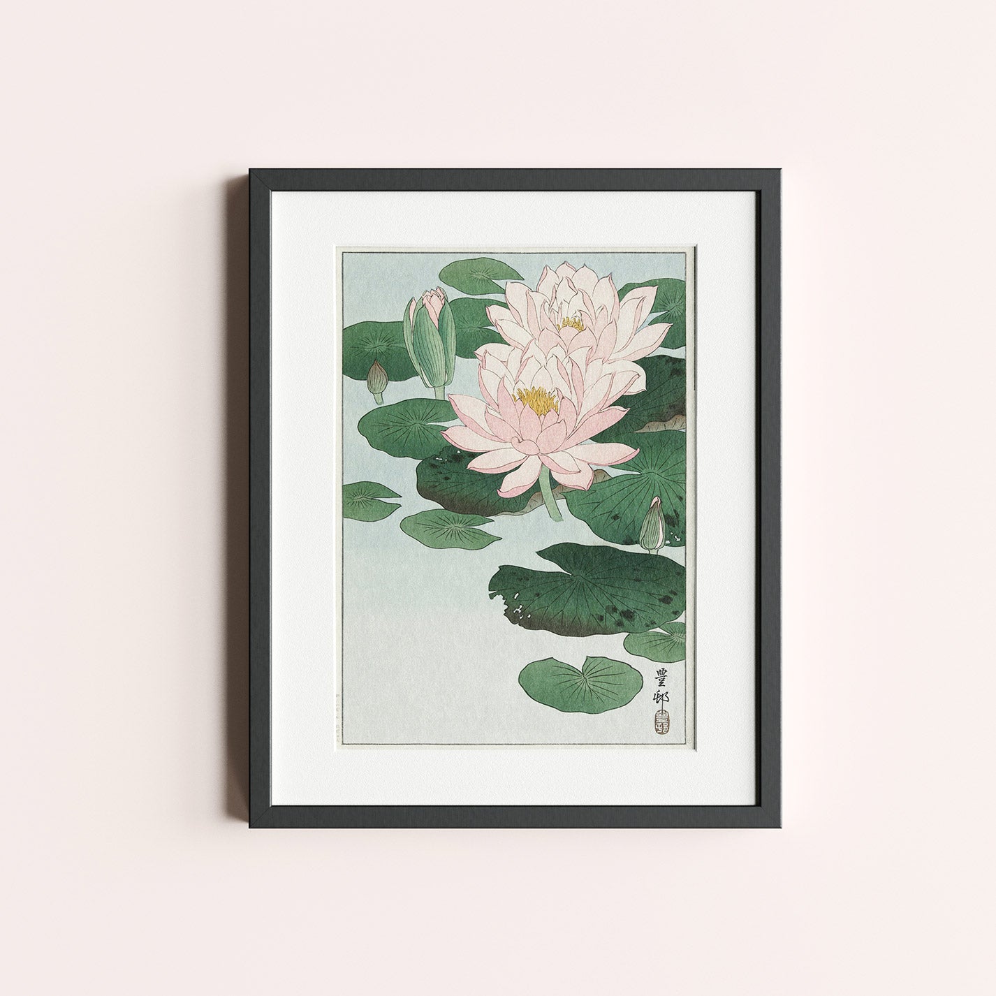 Water Lily - heyvidashop